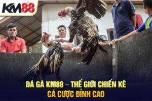 Đá Gà KM88 – Thế Giới Chiến Kê, Cá Cược Đỉnh Cao