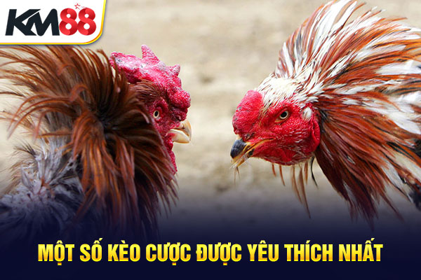 Một số kèo cược được yêu thích nhất